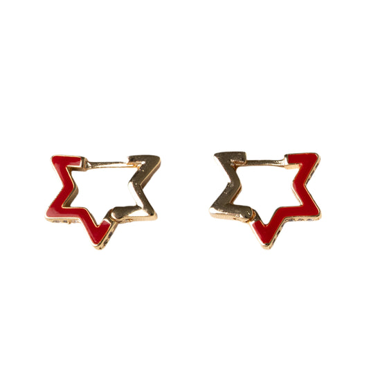 Zigstar Earrings
